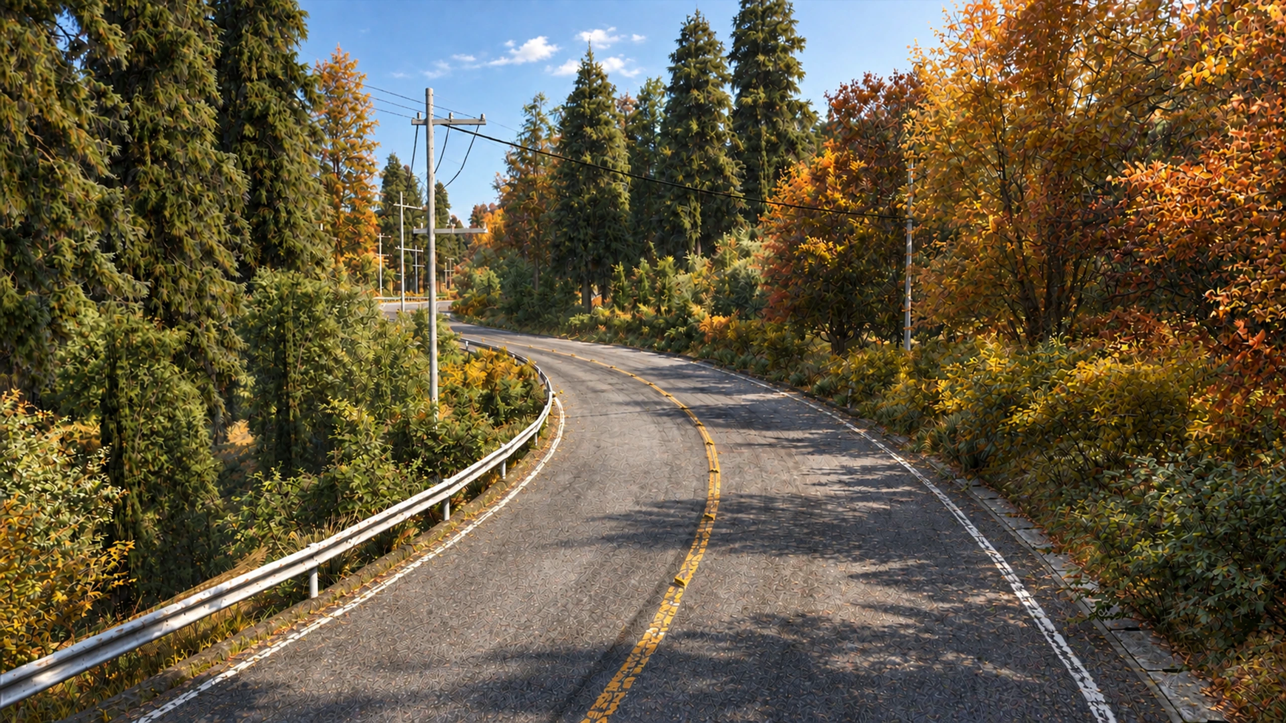 Autumn Pine Pass