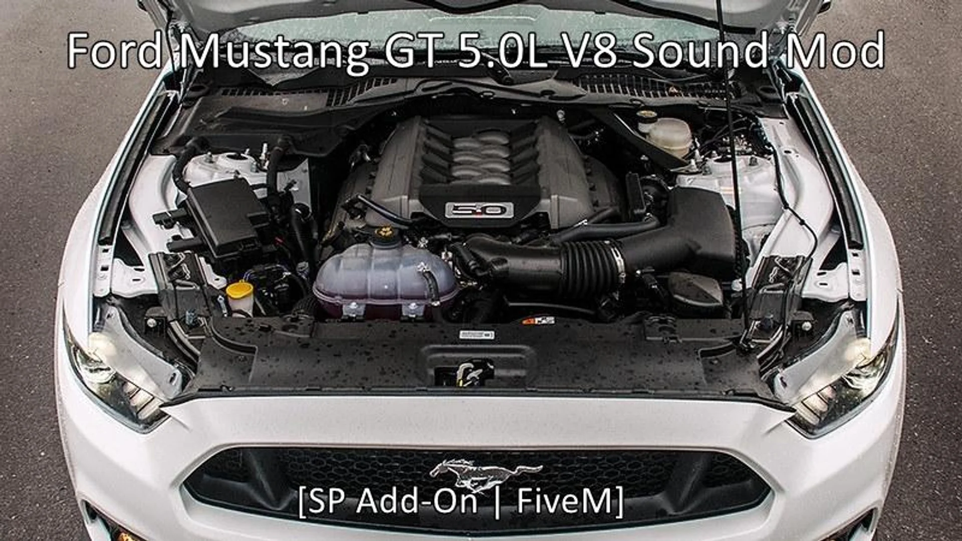 Bấm để xem toàn màn hình Ford Mustang GT 5.0 V8 Sound Mod
