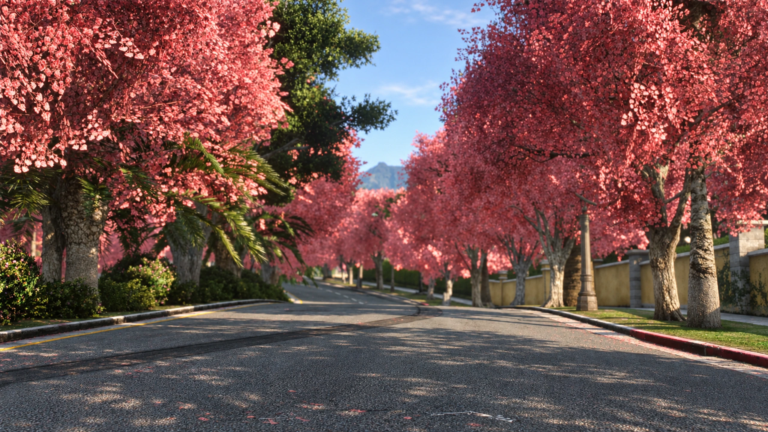 Hàng cây hoa anh đào Los Santos