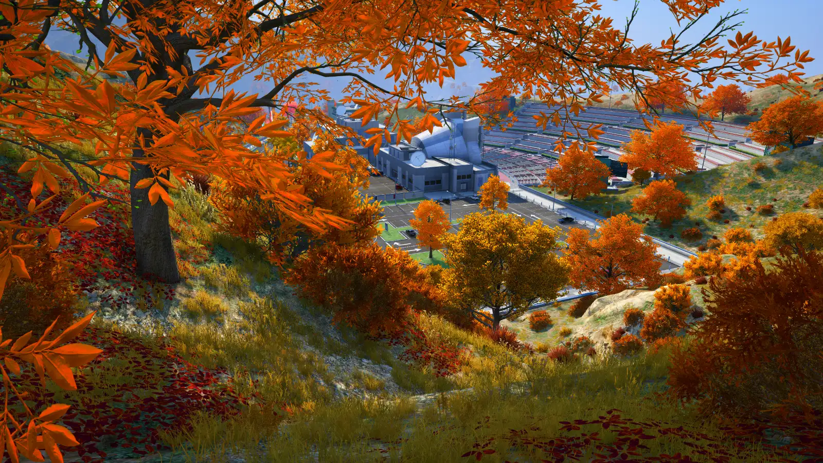 Bấm để xem toàn màn hình Amber Fall