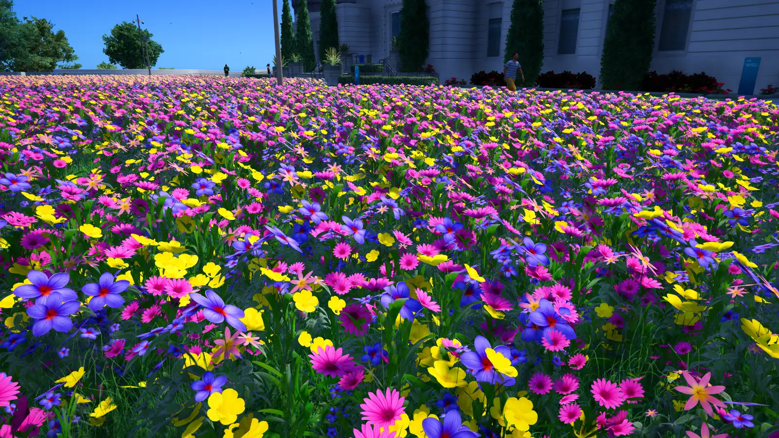 Wildflower